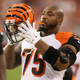 Defensive tackle Devon Still of the Cincinnati Bengals on the sidelines during the preseason NFL game against the Arizona Cardinals at the University of Phoenix Stadium Aug. 24, 2014, in Glendale, Ariz.
Christian Petersen/Getty Images